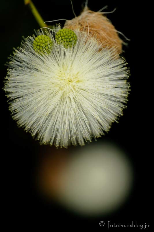 c0268775_07154250.jpg
