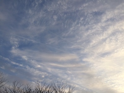 f0005081_2252128.jpg