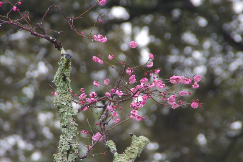 c0144185_22165466.jpg