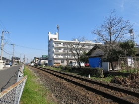 e0130185_11201695.jpg