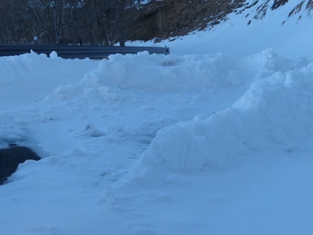 f0357487_22312724.jpg