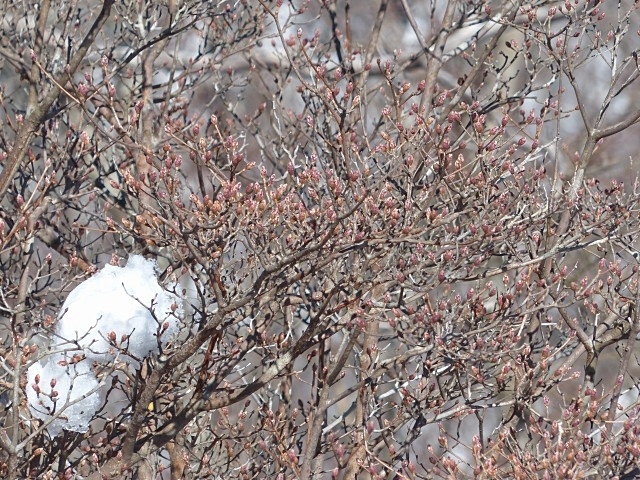 f0357487_23362203.jpg