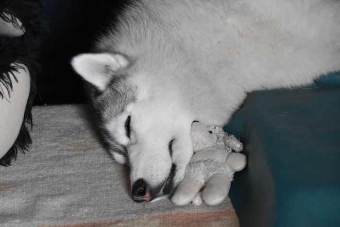 c0049299_23061363.jpg