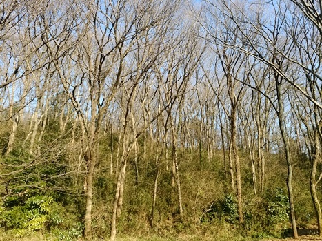 a0236300_11450091.jpg