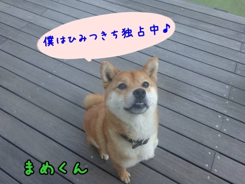 a0338800_21081533.jpg