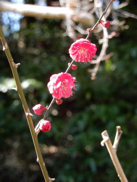 e0025300_17315739.jpg