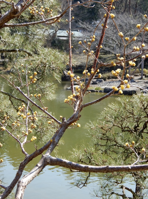 e0025300_17391036.jpg