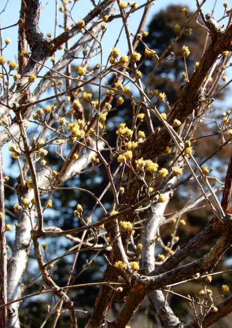 e0025300_17392960.jpg