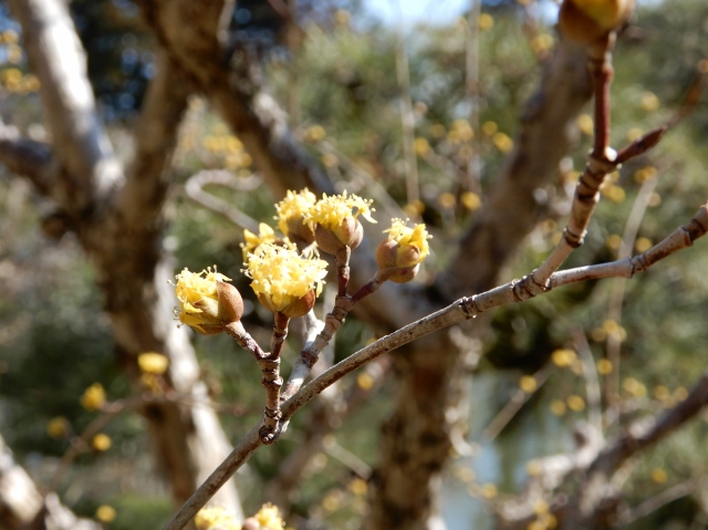 e0025300_1739492.jpg
