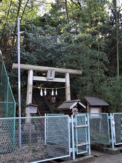 e0245404_948398.jpg