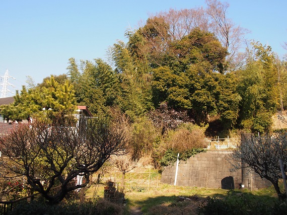 e0245404_9491344.jpg