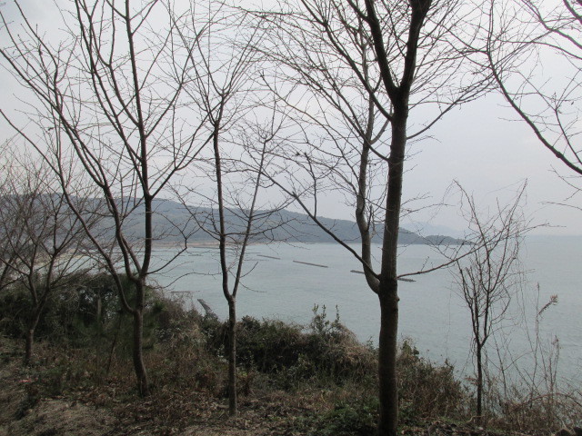 f0341616_15475248.jpg
