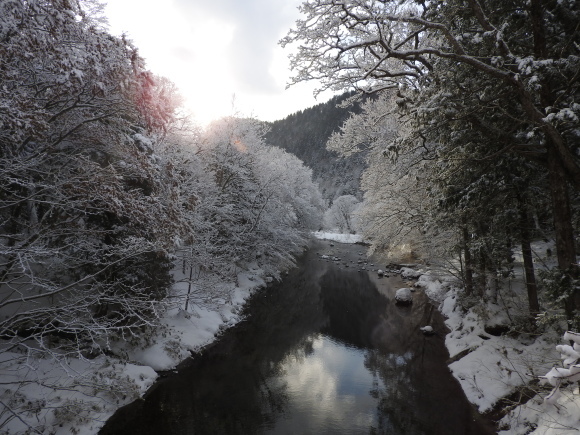 f0118332_16360127.jpg