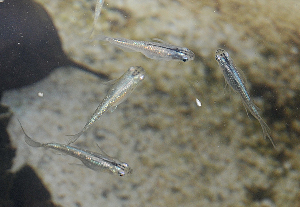 e0097534_18105197.jpg