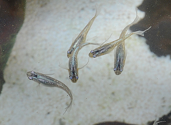 e0097534_181087.jpg
