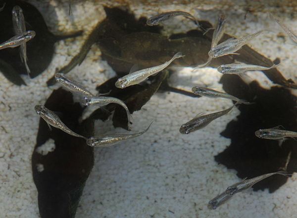 e0097534_1895263.jpg