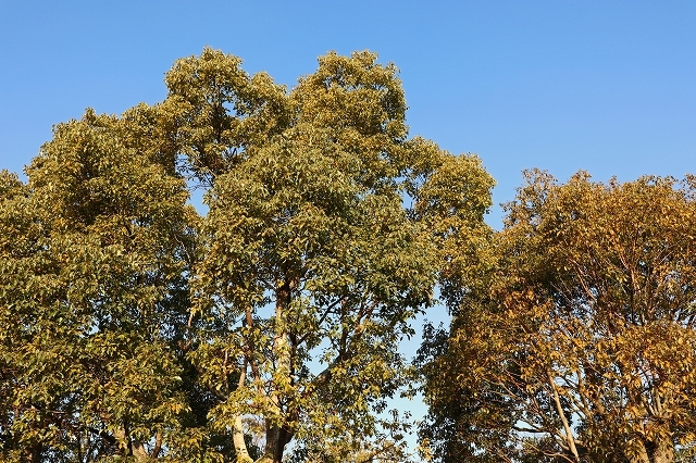 a0242438_20260143.jpg