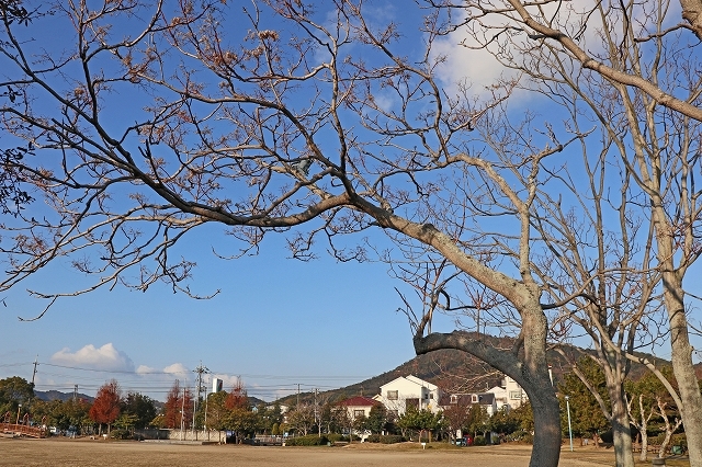 a0242438_20261002.jpg