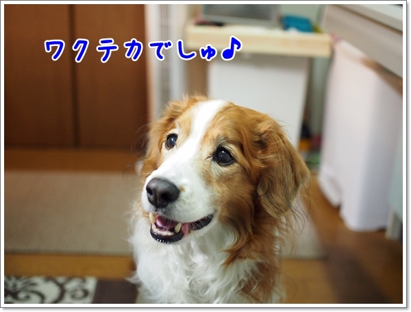 d0013149_00221586.jpg
