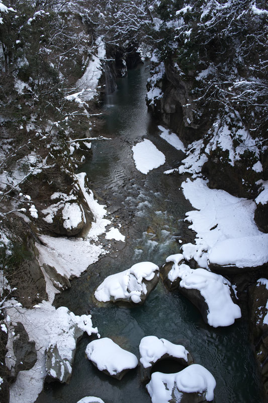 d0342652_15401869.jpg