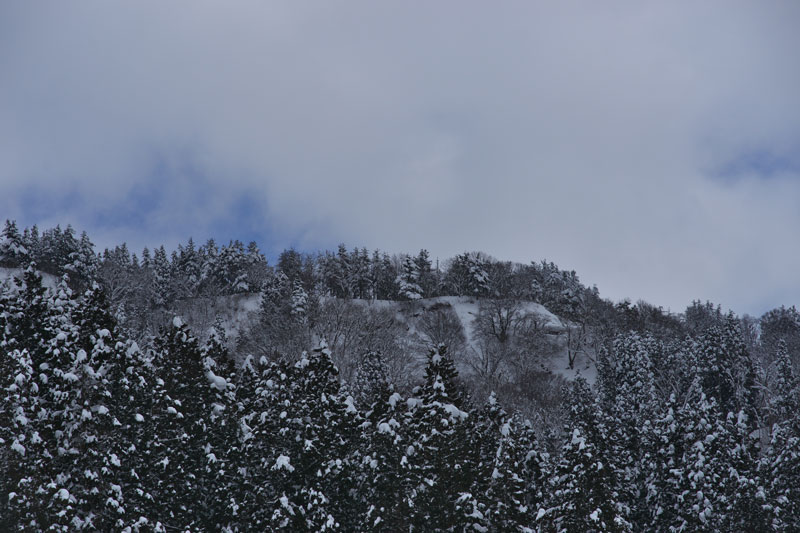 d0342652_15534918.jpg