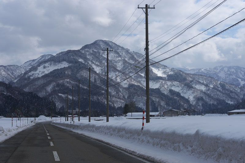 d0342652_1553634.jpg