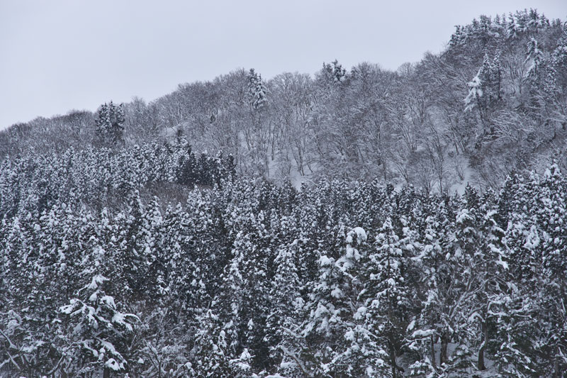 d0342652_15541497.jpg