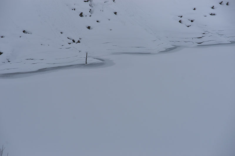d0342652_19264646.jpg
