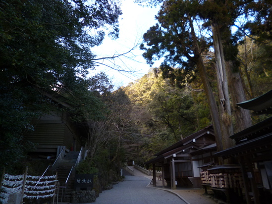 d0231858_1720481.jpg