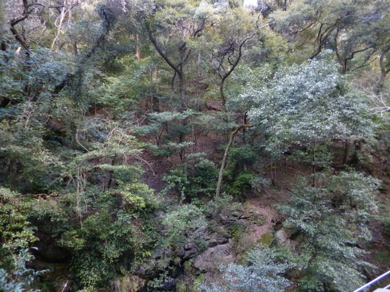 d0231858_17231023.jpg