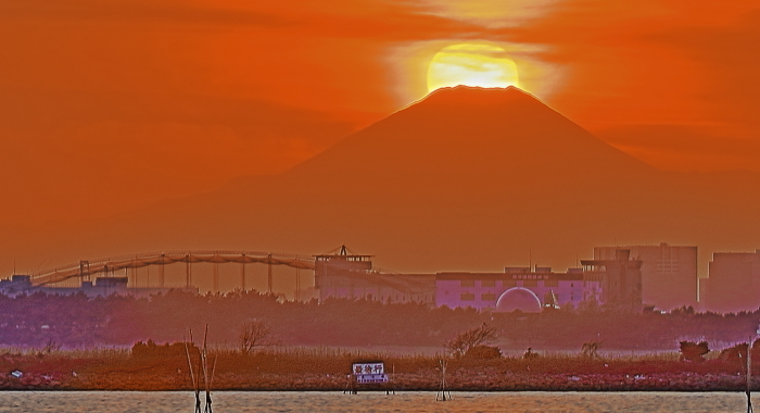 a0150260_21283196.jpg