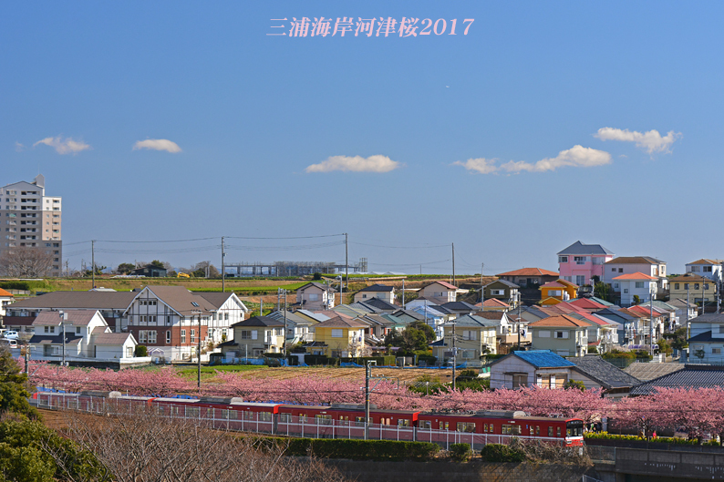 d0251161_10284410.jpg