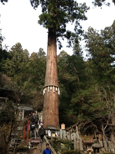 b0153663_18542792.jpeg