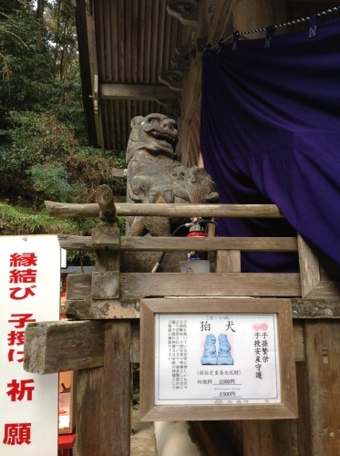 b0153663_18550129.jpeg