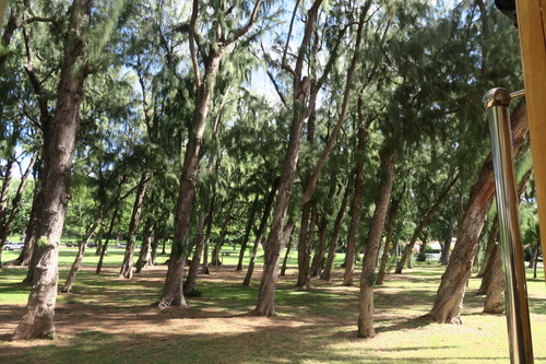 d0029363_22182465.jpg