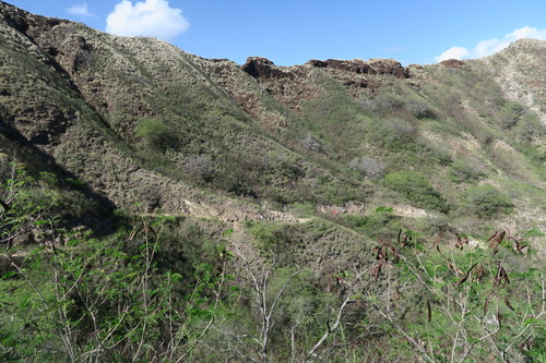 d0029363_22204187.jpg