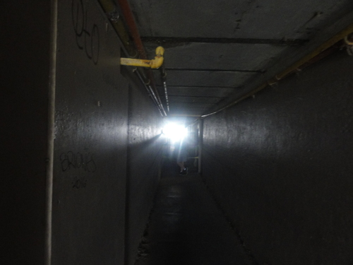 d0029363_2234442.jpg