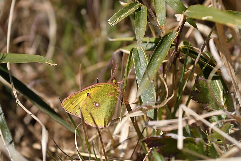 f0031682_08533084.jpg