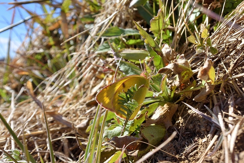f0031682_08533510.jpg