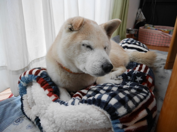 c0123890_21011958.jpeg