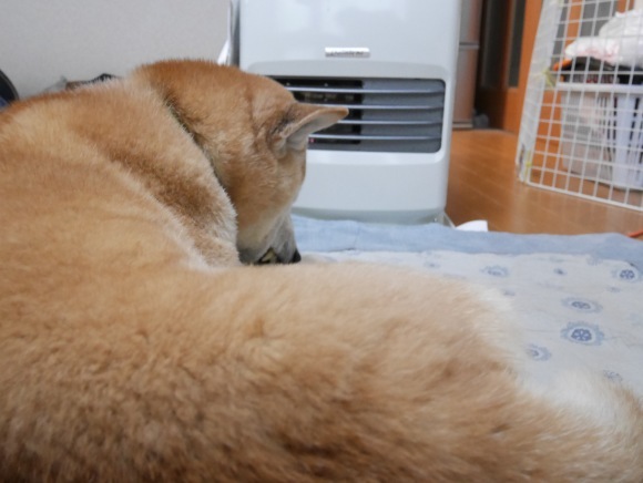 c0123890_21015179.jpeg