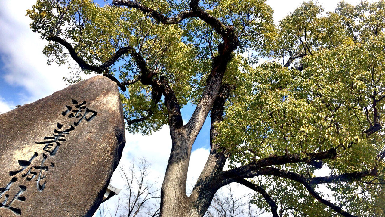 c0350290_17015805.jpg