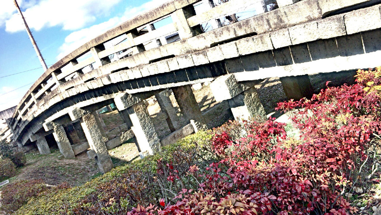 c0350290_17021520.jpg
