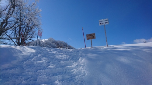 e0015490_16111086.jpg