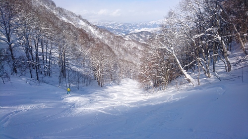 e0015490_16132274.jpg