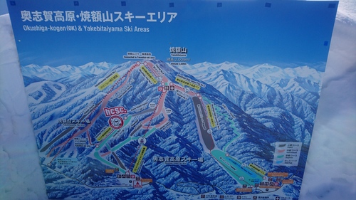 e0015490_1734785.jpg