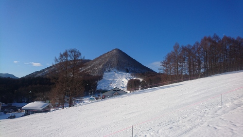 e0015490_2022896.jpg