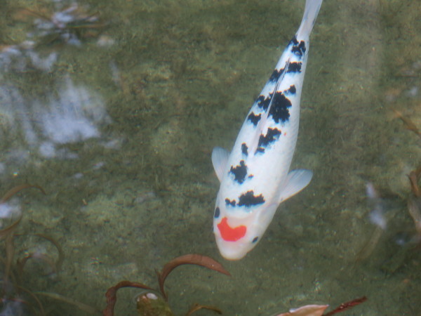 e0271890_01412152.jpg