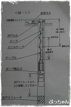 f0353990_10345873.jpg