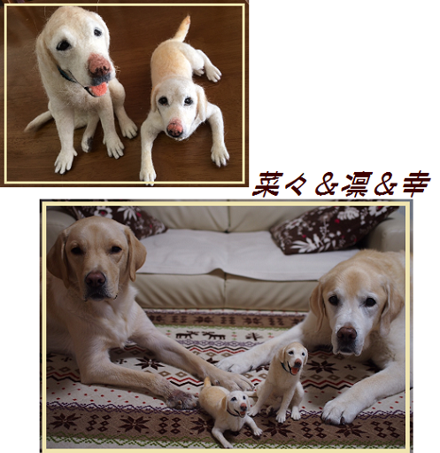 d0282395_20534130.png